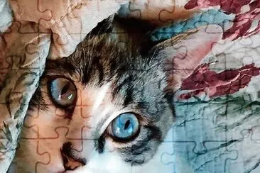  jigsaw puzzle