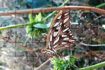  jigsaw puzzle