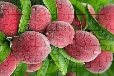 frutas jigsaw puzzle