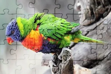 jigsaw puzzle