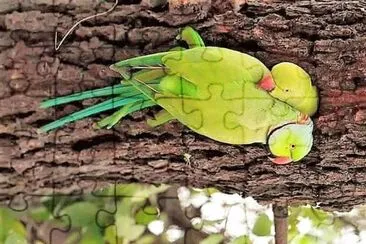  jigsaw puzzle