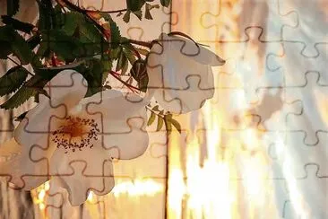 flores jigsaw puzzle