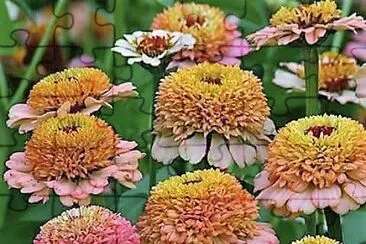 flores jigsaw puzzle