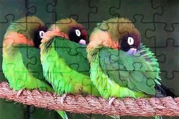  jigsaw puzzle