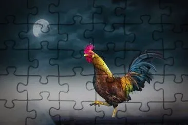  jigsaw puzzle