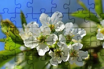 OK jigsaw puzzle
