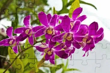 OK jigsaw puzzle