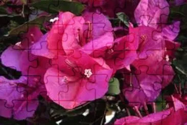 OK jigsaw puzzle
