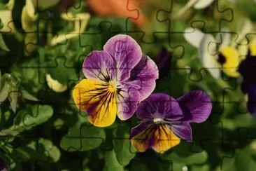 OK jigsaw puzzle
