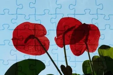 OK jigsaw puzzle