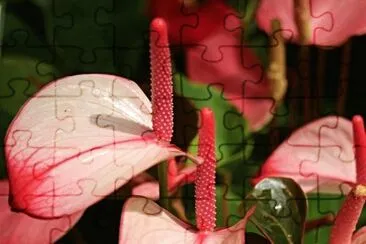 OK jigsaw puzzle