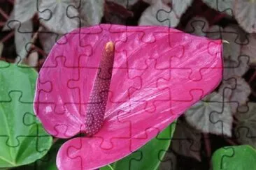 OK jigsaw puzzle