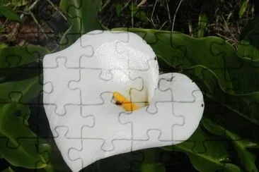 OK jigsaw puzzle