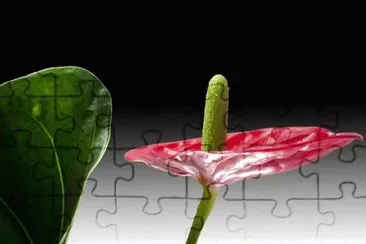 OK jigsaw puzzle