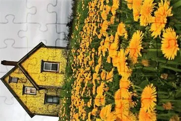 flores jigsaw puzzle