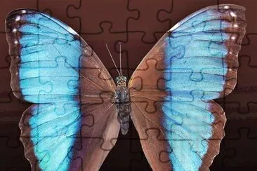 פאזל של natural