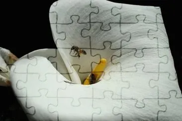 OK jigsaw puzzle