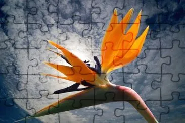 OK jigsaw puzzle