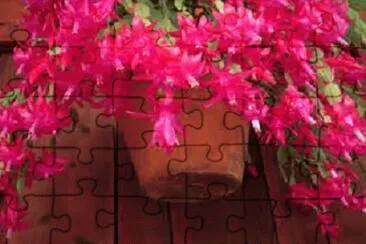 OK jigsaw puzzle