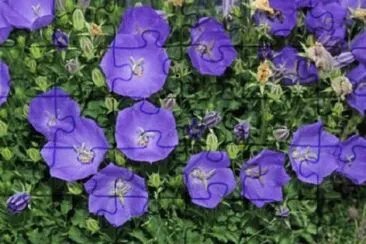 OK jigsaw puzzle