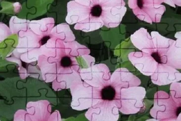 OK jigsaw puzzle
