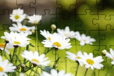 OK jigsaw puzzle