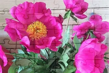 flores