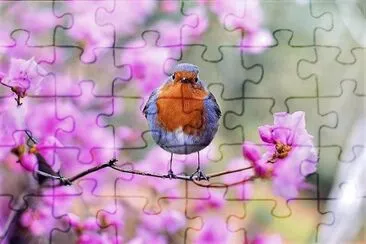  jigsaw puzzle