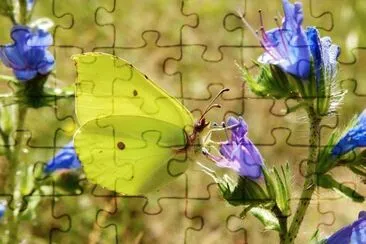 imagem jigsaw puzzle