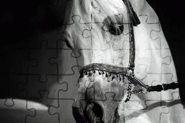 antedeluvian1 jigsaw puzzle