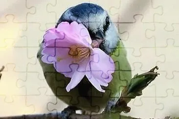 natural jigsaw puzzle