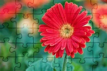marguerite jigsaw puzzle