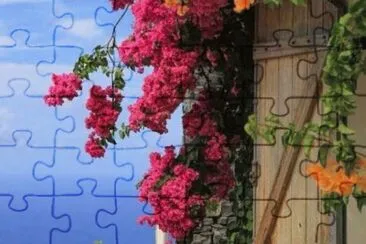 1 jigsaw puzzle