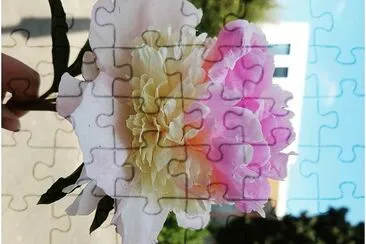 פאזל של flores