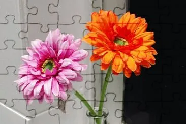 cores jigsaw puzzle