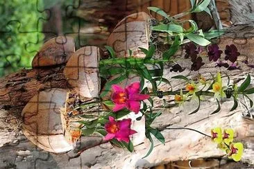 flores jigsaw puzzle
