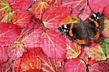 Imagem jigsaw puzzle