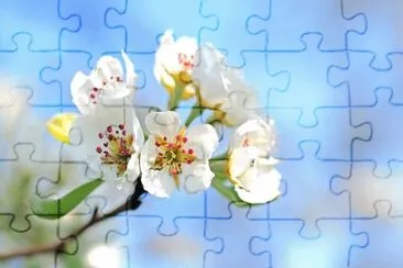 OK jigsaw puzzle