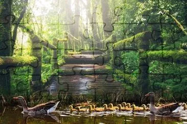 Imagem jigsaw puzzle