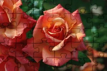 OK jigsaw puzzle