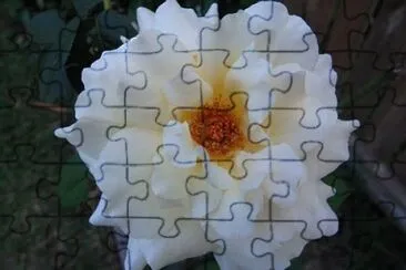 OK jigsaw puzzle