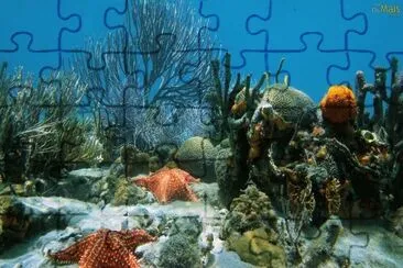 Sea World