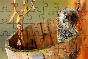 natural jigsaw puzzle