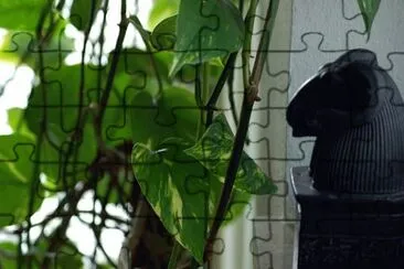 Imagem jigsaw puzzle