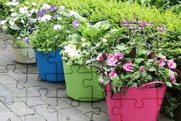 Imagem jigsaw puzzle