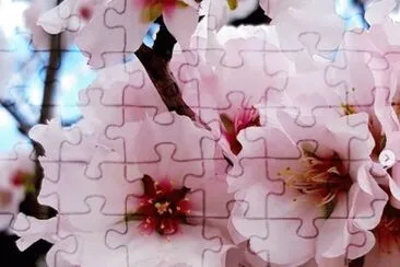 fiower jigsaw puzzle