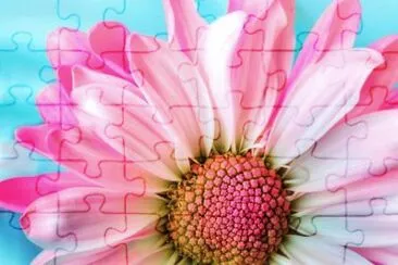 fiower jigsaw puzzle