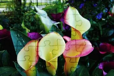 OK jigsaw puzzle
