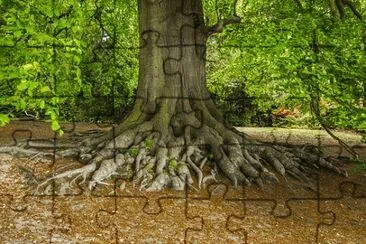 Imagem jigsaw puzzle