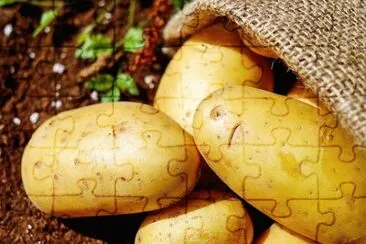 Imagem jigsaw puzzle